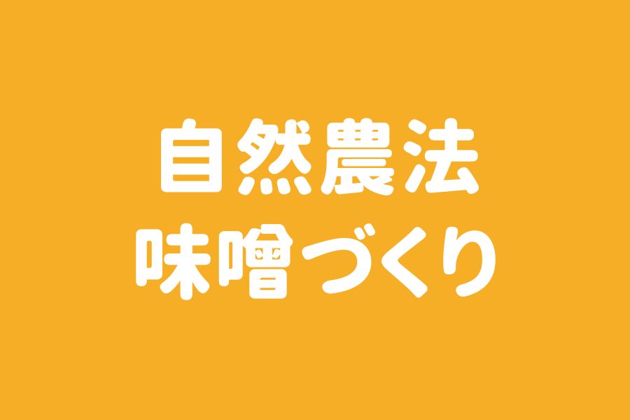 自然農法味噌づくり